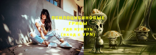стаф Арсеньев