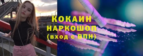 стаф Арсеньев