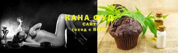 стаф Арсеньев