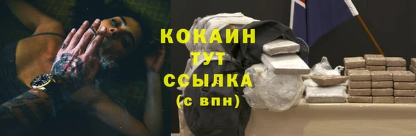 мяу мяу мука Армянск