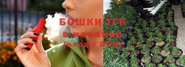 стаф Арсеньев