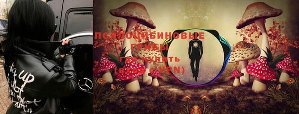 стаф Арсеньев